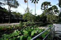 Turquoise (D4), Condominium #515866291